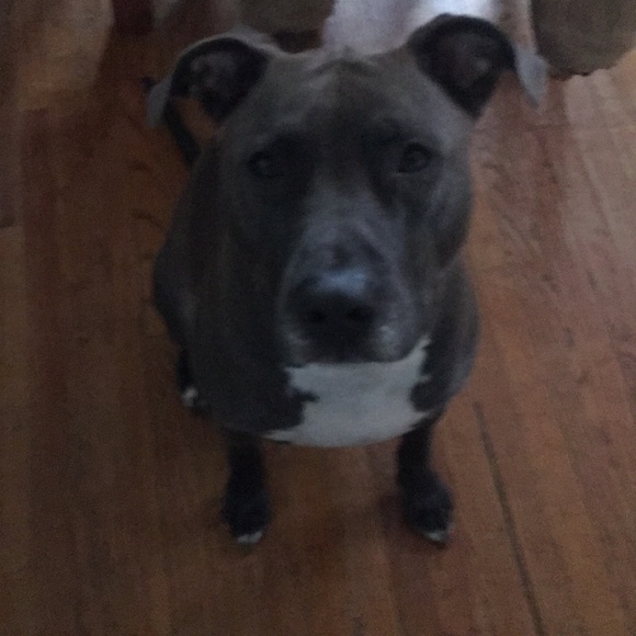 Meet your Posher, Jason - Picture 1 of 1